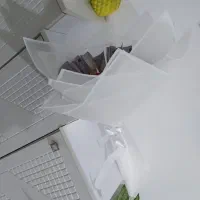 گل جاودانه|گل مصنوعی|کرمانشاه, |دیوار