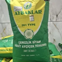 بذر تخمه آفتابگردان