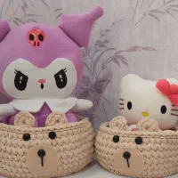 سبد نظم دهنده|صنایع دستی و سایر لوازم تزئینی|پارس‌آباد, |دیوار