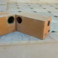 لونه عروس و گرینچیک ۲ عدد
