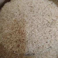 برنج هاشمی درجه یک|خوردنی و آشامیدنی|تبریز, |دیوار