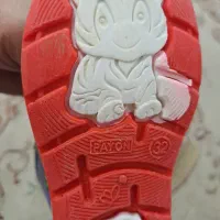 چکمه وکفش|کیف، کفش، کمربند|گرگان, |دیوار