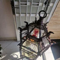 قفس سلطنتی|لوازم جانبی حیوانات|شیراز, میانرود|دیوار