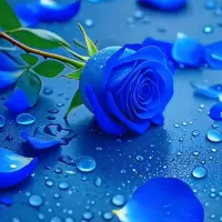 راهنمایی کنید