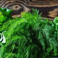 سبزی خورشتی