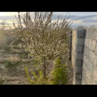 باغ-ویلایی-خسروشاه-خسروشهر-حصار-وسند