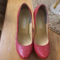 کفش مجلسی