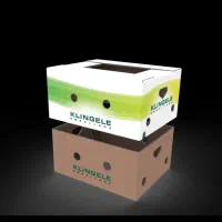 فروش کارتن موزی