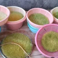 سمنوی مقوی وپراز کالری