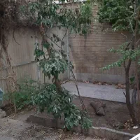 آپارتمان-63متری2خواب-جورکش-مسکن-هجرانی