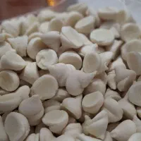 انواع کشک قیفی(کله قندی)