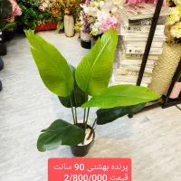 درختچه وارداتی|گل مصنوعی|فردیس, فردیس|دیوار