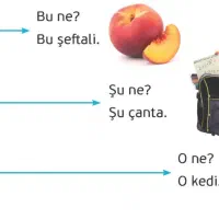 ترکی استانبولی در 40 جلسه|خدمات آموزشی|شیراز, شهرک مفتح|دیوار