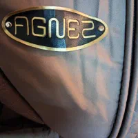 کالسکه دلیجان|کالسکه و لوازم جانبی|بروجرد, |دیوار