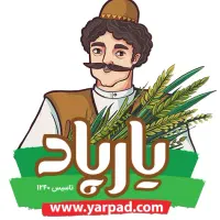 استخدام دو رده شغلی