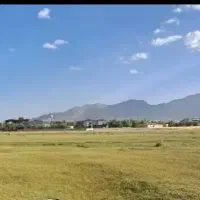 تامین کننده عمده برنج فجر و ندا استان گلستان