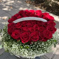 گل رز|گل و گیاه طبیعی|مشهد, کارده|دیوار