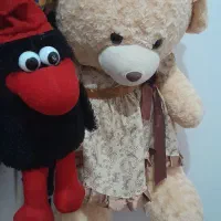 تعدادی عروسک قشنگ