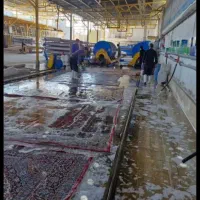 قالیشویی مبلشویی نوید سرویس کل مناطق اسلامشهر|خدمات نظافت|اسلامشهر, شهرک سعیدیه|دیوار