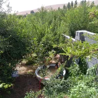 فروش باغچه دور دیوار