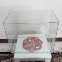 ماهی / اکواریوم / لوازم جانبی