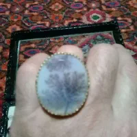 انگشتر شجر تک درخت درشت بینظیر