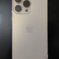 13Pro 256G
