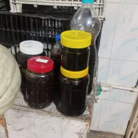 رب آلوچه کیلویی 250فسنجانی