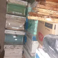 کندو عسل دست دوم تمیز|لوازم جانبی حیوانات|دهدشت, |دیوار