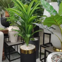 بزرگترین پخش کننده انواع درختچه مصنوعی در اراک|گل مصنوعی|اراک, |دیوار