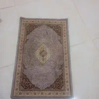 دو عدد دم دری
