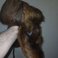 کلاه روسی|لباس|تهران, تسلیحات|دیوار