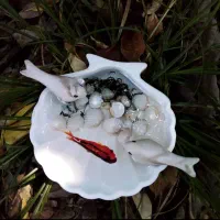 فروش ظروف پذیرایی و دکوری سنگ مصنوعی|صنایع دستی و سایر لوازم تزئینی|چالوس, |دیوار