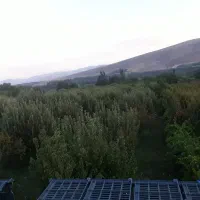 کود سولفات اهن پودری وکریستالی ۱۹/۵و۱۸ درصد|خدمات باغبانی و درختکاری|تبریز, |دیوار