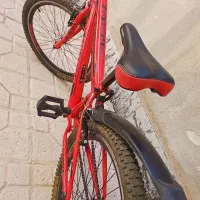 دوچرخه المپیا