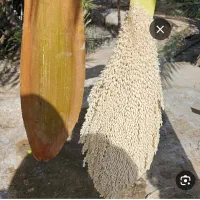 اهواز اسماعلیه