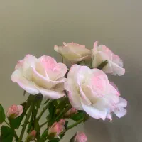 گل های انعطافی