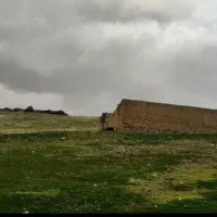 دامداری و گاودادی|فروش دفتر صنعتی، کشاورزی، تجاری|قروه, |دیوار