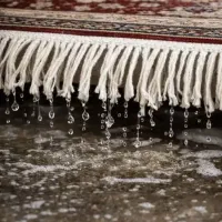 کارخانه قالیشویی ، مبلشویی و رفوگری در سراسر تهران|خدمات نظافت|تهران, ایرانشهر|دیوار