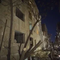 حرص کاری درخت|خدمات باغبانی و درختکاری|تهران, بهداشت|دیوار