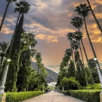 فروش زمین ۵۰۰ متر مرکز شهر