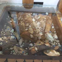 میز نهار خوری چهار نفره|میز و صندلی غذاخوری|شیراز, لاله|دیوار