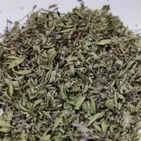 آویشن کوهی
