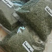 ترشی خانگی و سبزی خشک ، به صورت عمده و تک فروشی|خوردنی و آشامیدنی|مرودشت, فاز دوم شهرک فرهنگیان|دیوار