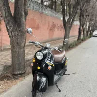 پاکشتی وینو