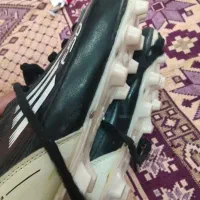 کفش استوک دار|کیف، کفش، کمربند|تایباد, |دیوار