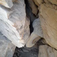 عسل طبیعی بشرط آزمایشگاه