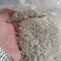 برنج تایلندی اصیل و خوش طعم|خوردنی و آشامیدنی|سنندج, |دیوار