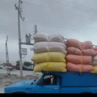کاه گندم خرمنکوب