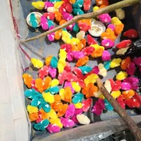 جوجه|حیوانات مزرعه|معمولان, |دیوار